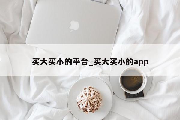 买大买小的平台_买大买小的app